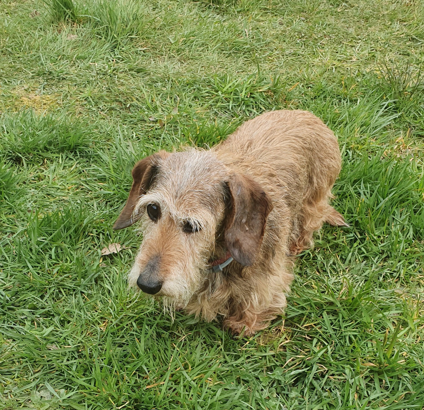 [Image: 20220302-115446.jpg]