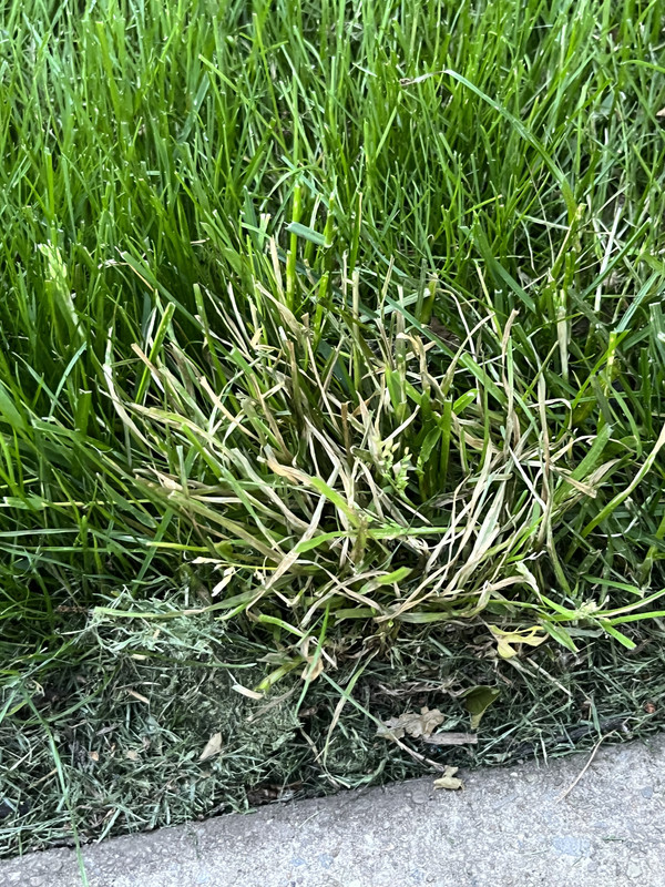 519EA693-EEE2-45D5-BDA8-AAB3ABDE4BDA