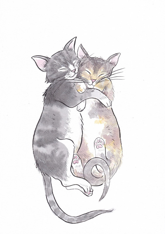 85174428_2822279747825019_3651400368346103808_n