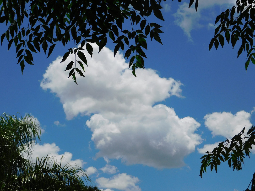 DSCN2892.jpg