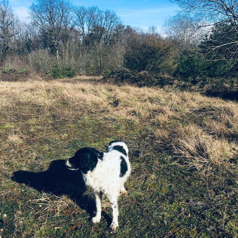 F84C8EB0-442A-479C-BEB0-43DC9B8E153C