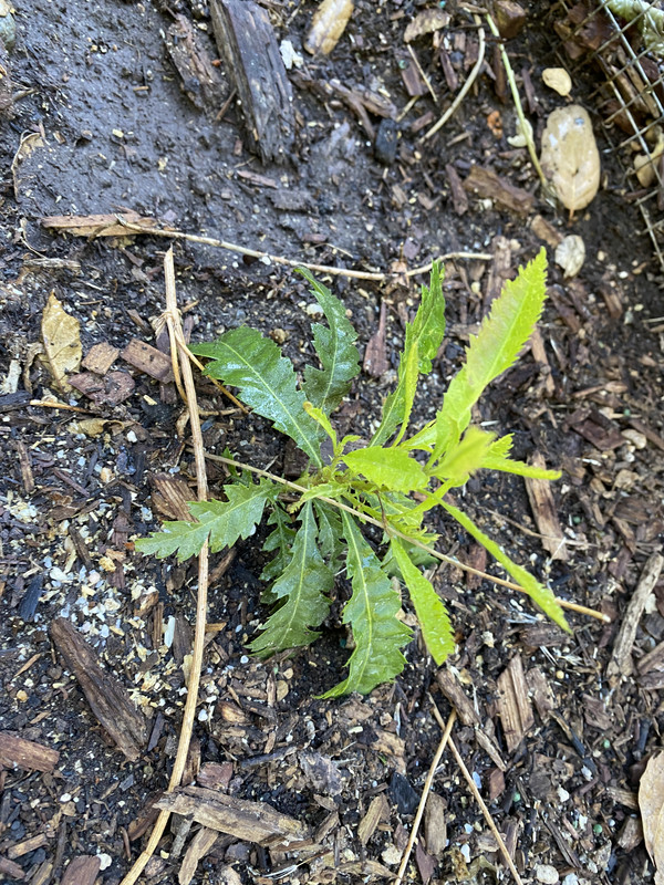 D499FDA9-CF5E-4A80-B9F7-518C94AC05BE