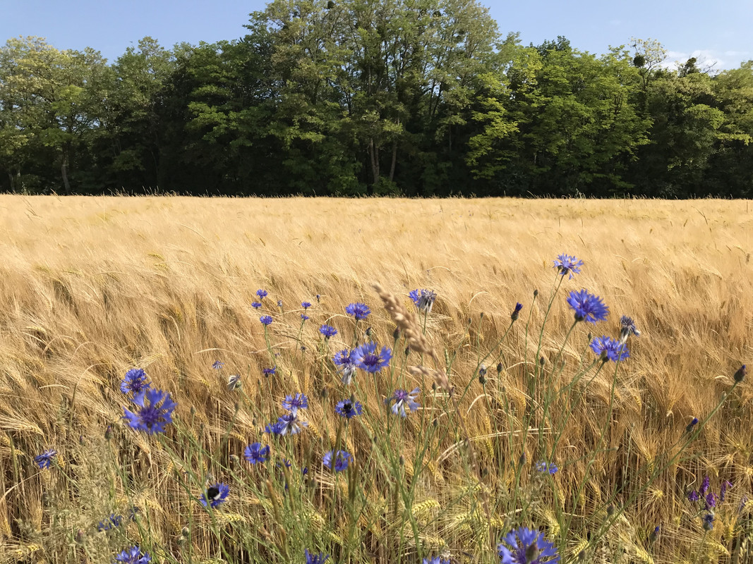 AF30D9B4-904F-4F7C-9F9F-E0858D39BCE9