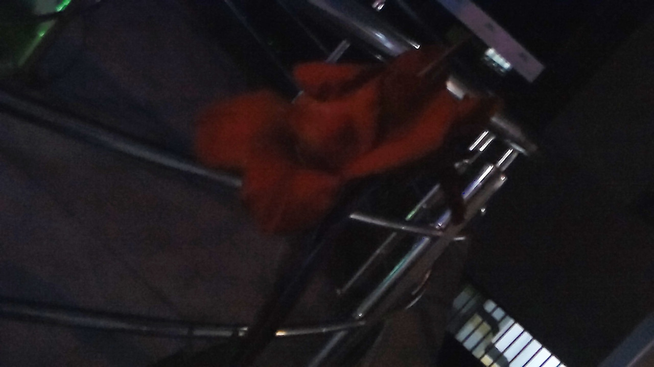 10.5.bad pictures of night flowers V (edited)