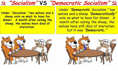 socialism-vs-democratic-socialism-under-socialism-two-wolves-and-a-35766098.png