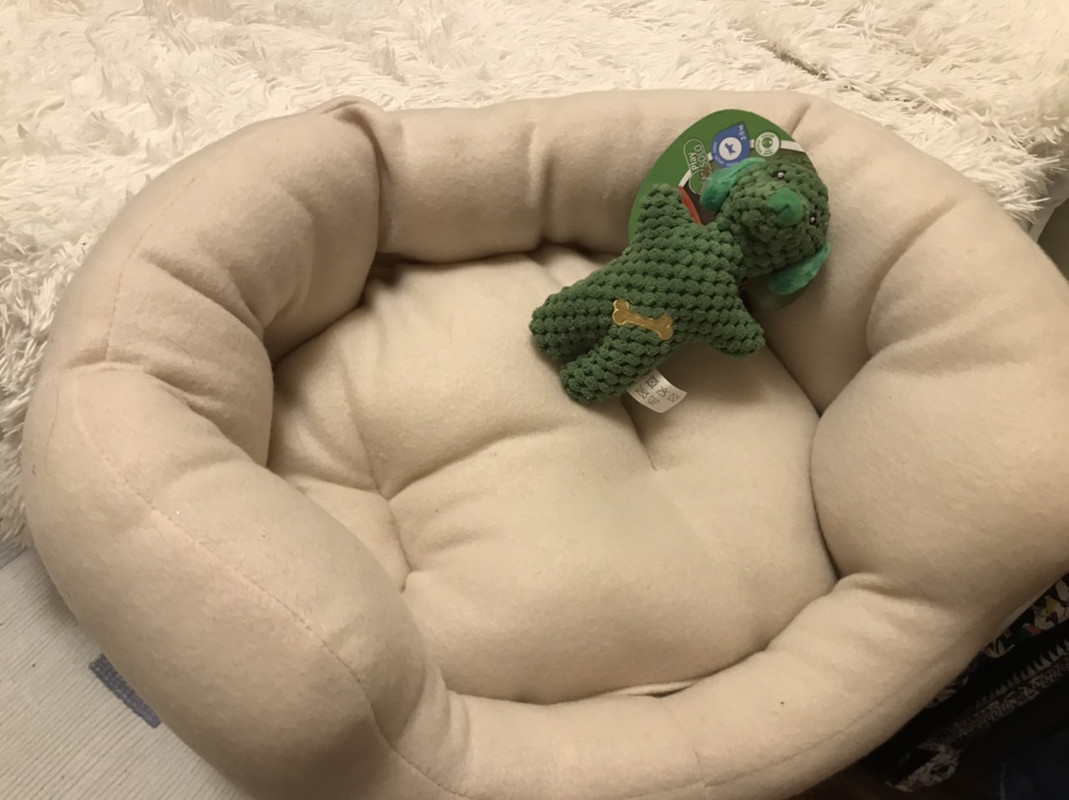 25B119BC-43D8-473B-A4F6-826B3EA379B4