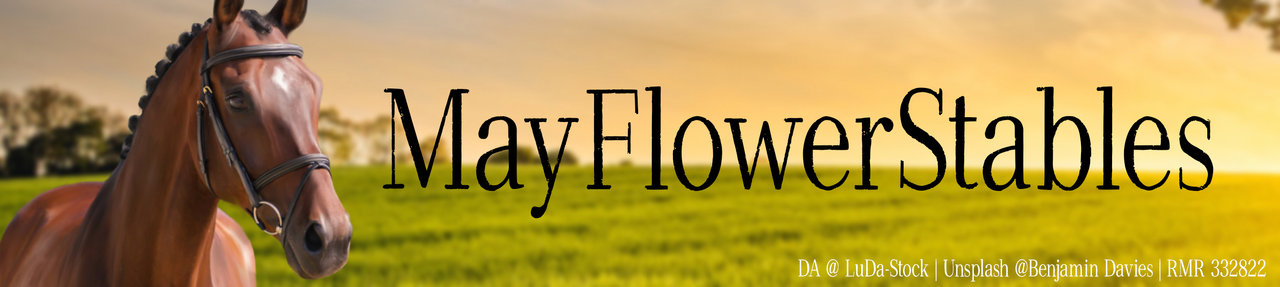 May-Flower-Banner.png