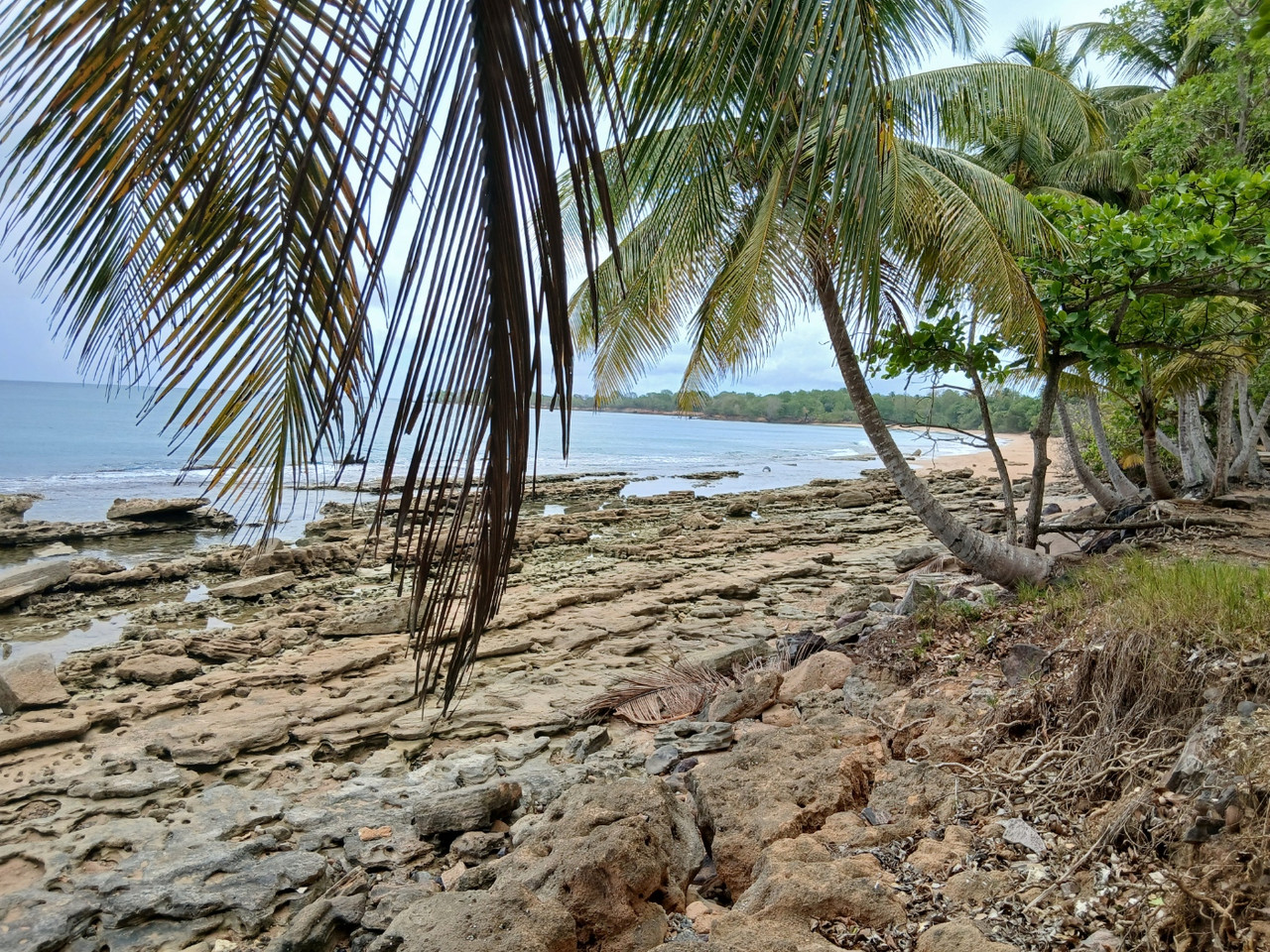guadeloupe 2026