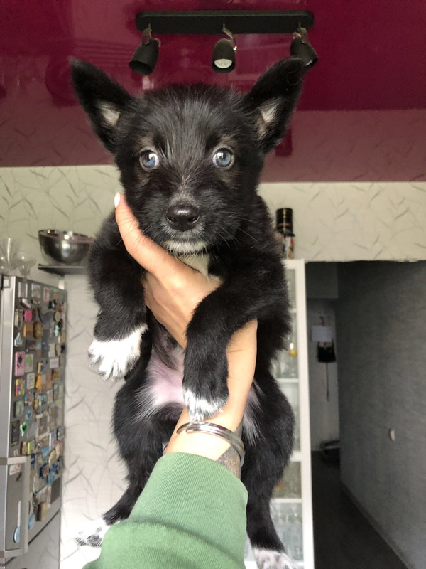 802F8D6F-6A29-47DD-A80C-63BC33401299