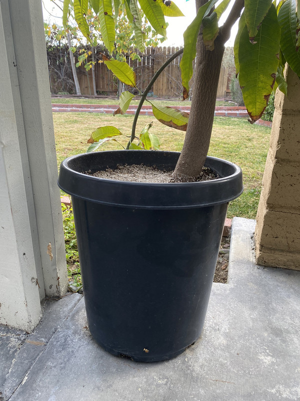 34FA51AA-5A02-4D10-B911-EFEC084A399B