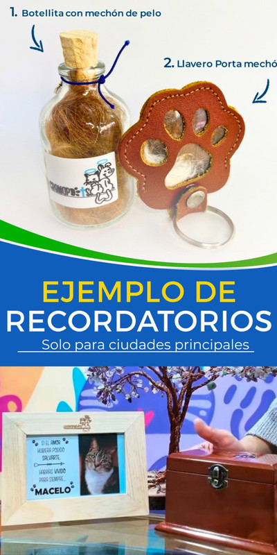 Ejemplo de recordatorios para mascotas