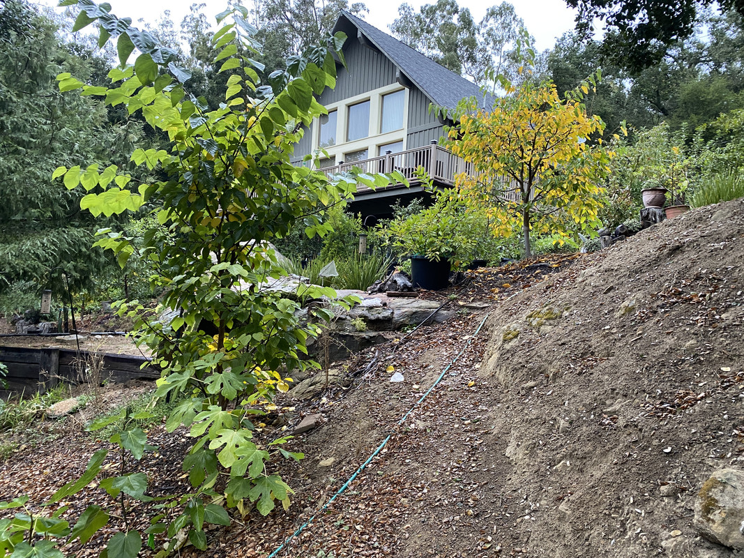 2CD14E02-5DEB-49A2-BB41-D8D20A27AC9E