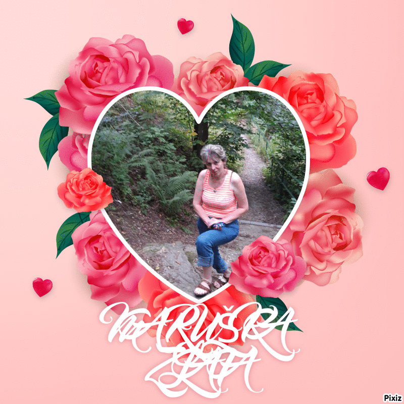 pixiz-07-04-2026-12-58-50