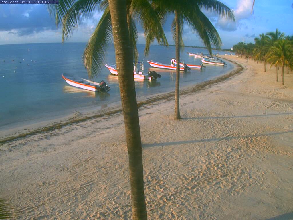 Algas en las playas de Riviera Maya (Sargazo) - Foro Riviera Maya y Caribe Mexicano