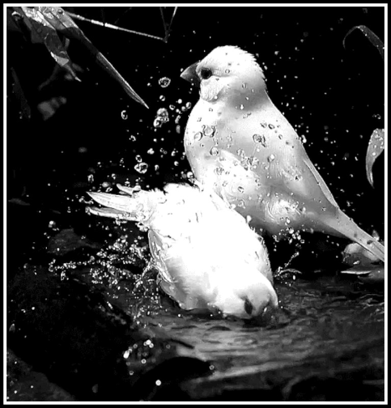 2565D3A8-7A69-4C10-A911-B30E705E6B03