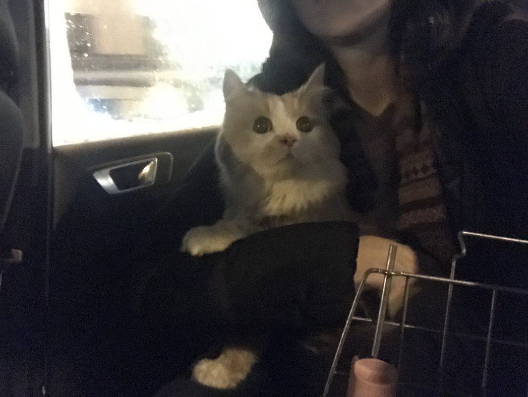 4B7FB690-1E90-45FF-86A9-7CF14EEC84BC