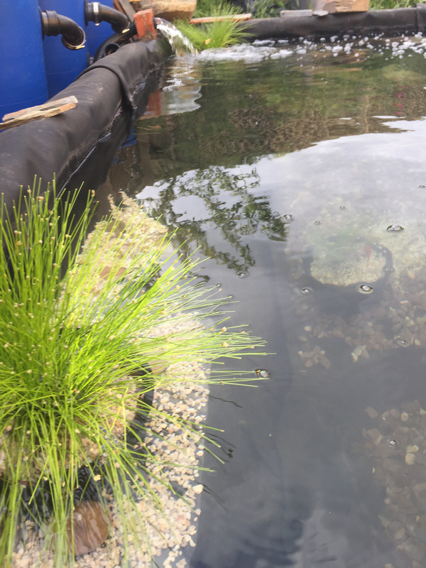 6963E5F5-00B4-49C8-AB89-E7DF52B06495