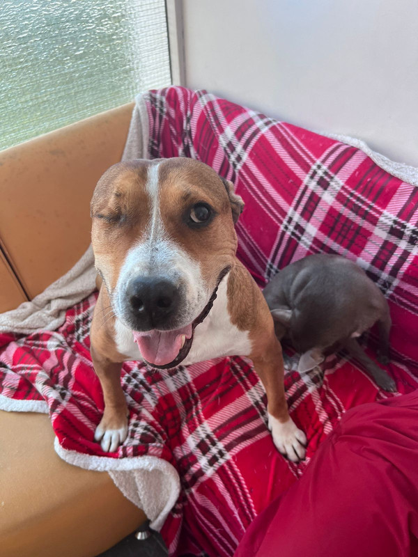 851B22B3-DE8F-45E1-8F2F-1E886DB3D837