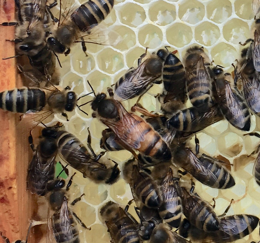 FB7CF755-371F-4895-ACE5-E19A3F452C37