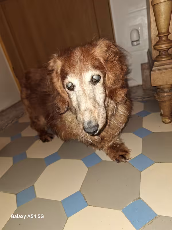 [Image: 20240829-202422.avif]