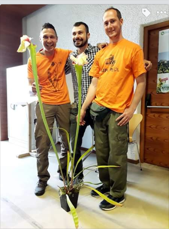 Screenshot_20200423-163324