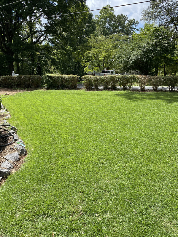 8AB07745-E453-418E-BBD5-FD82EB9222AF