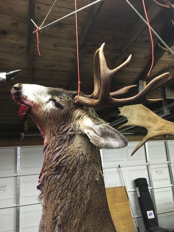 24AE535B-0D7C-4F3F-ACE7-5CDAD105CB2B