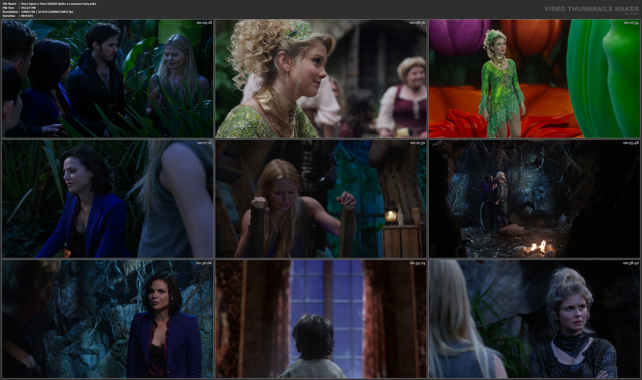 Once Upon a Time S03E03 Quite a Common Fairy.mkv