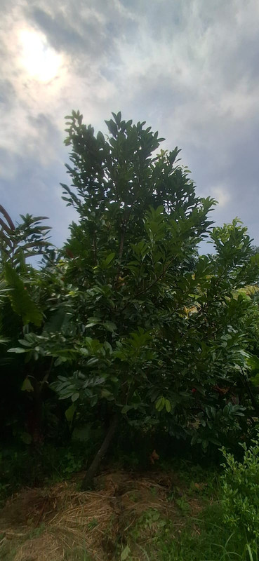 03d23edc e541 4fc3 a7a7 47b9c96912fa