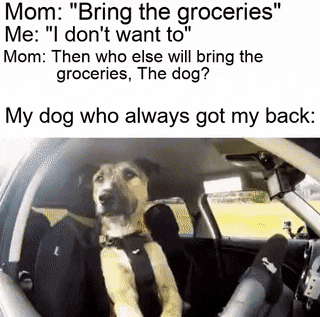 daily-gifdump-3394-10.gif
