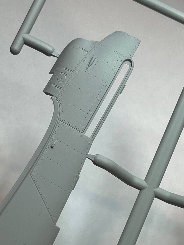 photo_2025-01-29_00-03-04