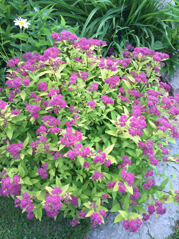 04CD7188-06B9-4017-9E37-E841914D525F