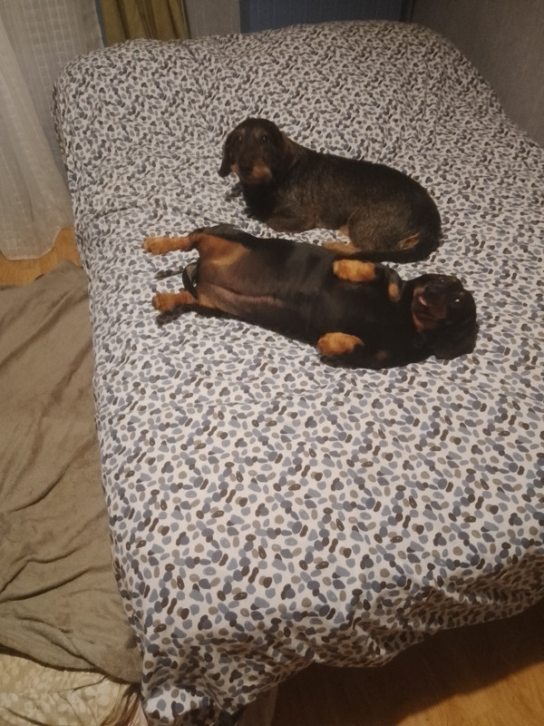 [Image: IMG-20220717-011933.jpg]