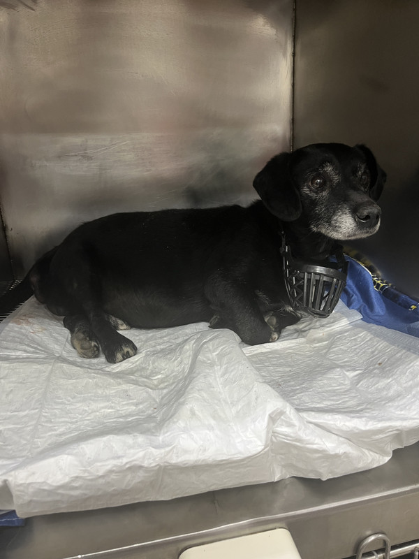 BEEBE310-58BE-4C00-89D9-A22B98B83E73