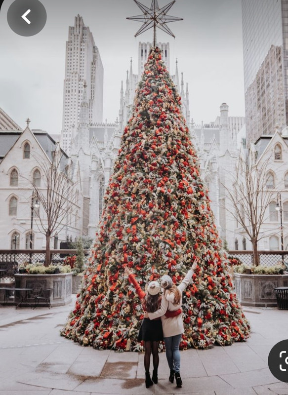 Screenshot_20231122_231517_Pinterest