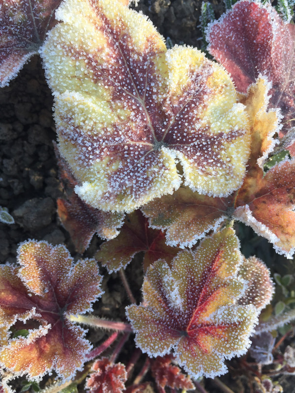 7897A28B-4819-4523-8D1F-6BA4AB46BE7B