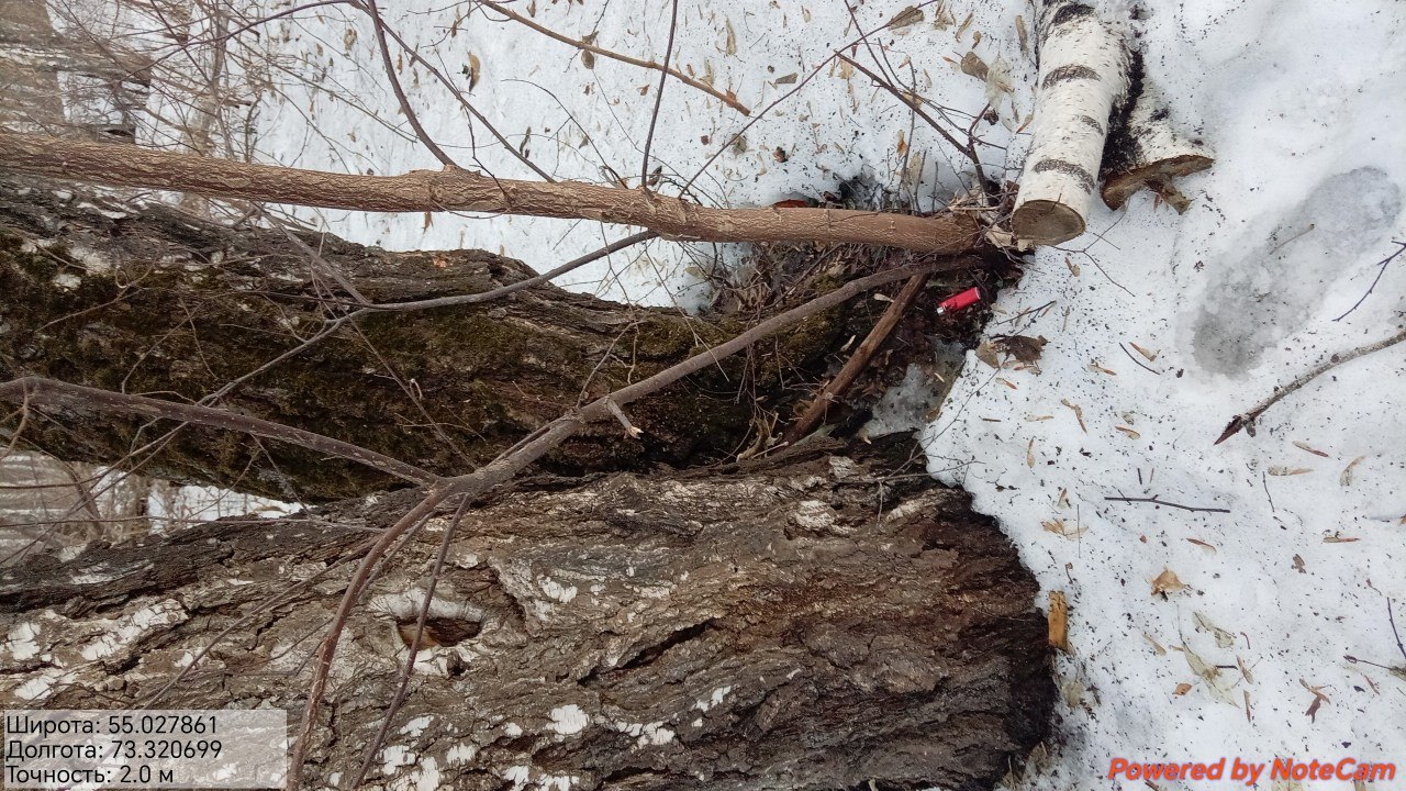 photo 2026 03 27 20 52 18