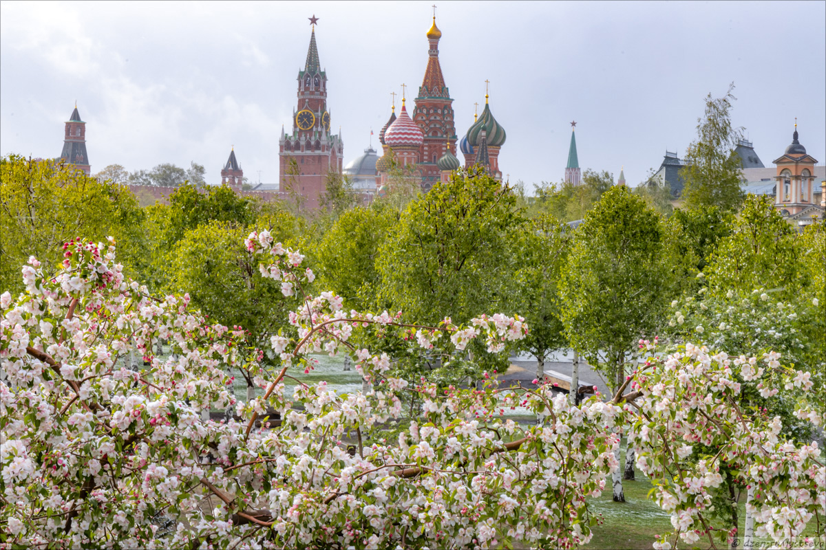  Это май чародей... by fotografersha. Вот такое вот херовое лето! LM5R8327