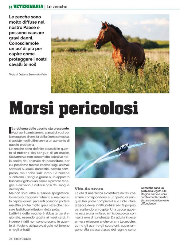 Il Mio Cav (Lug 2023) 11