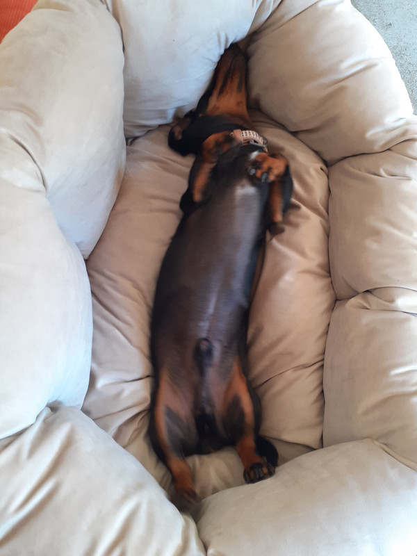 [Image: 20200602-105755.jpg]