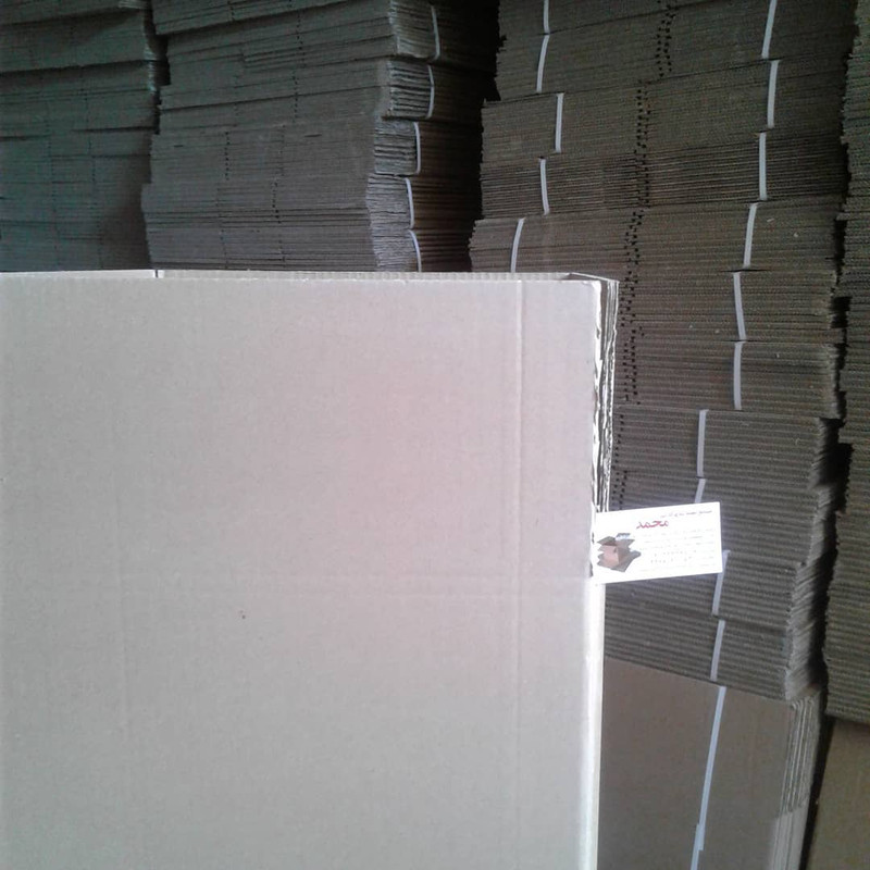 carton-mohammad (192)