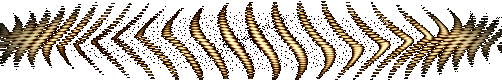 rjhw55tx2o7.gif