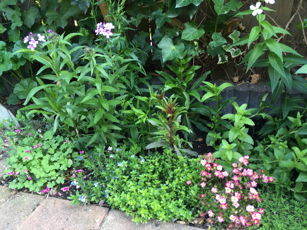 6F7DAA5A-78B1-4145-A9EF-5960727F14E7