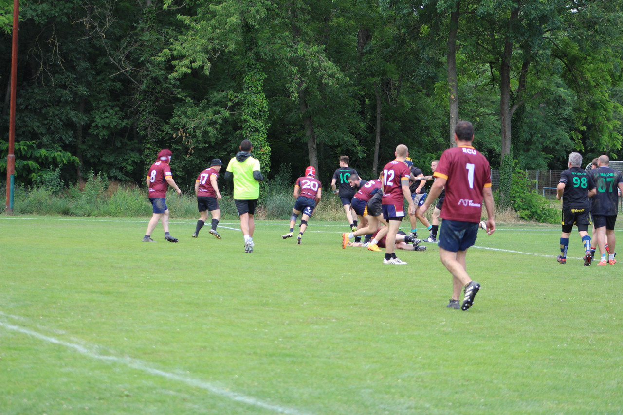 IMG 7868
