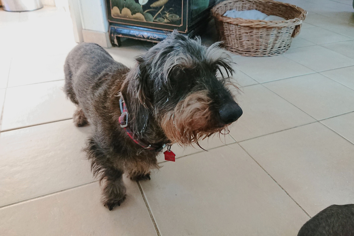 [Image: DSC-2025-04-09.jpg]