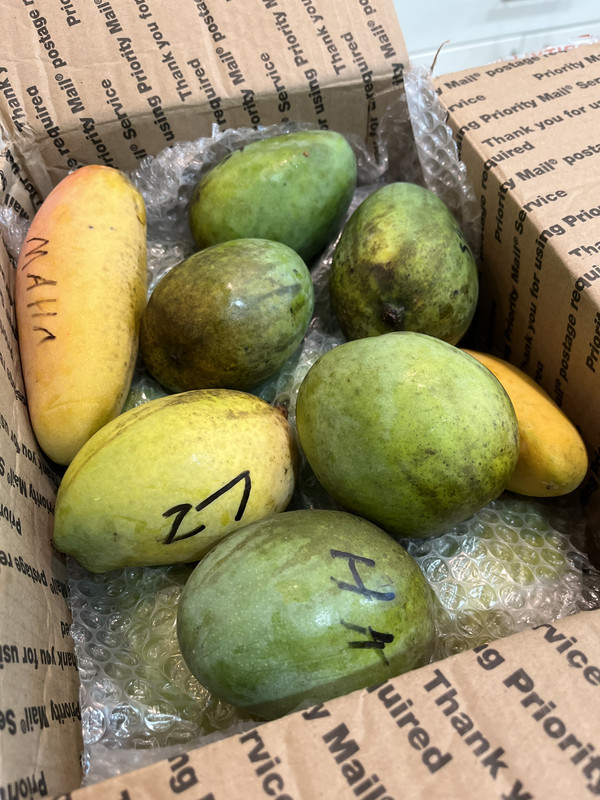 8C3FBEA7-232C-4416-B462-3124C716C4EC