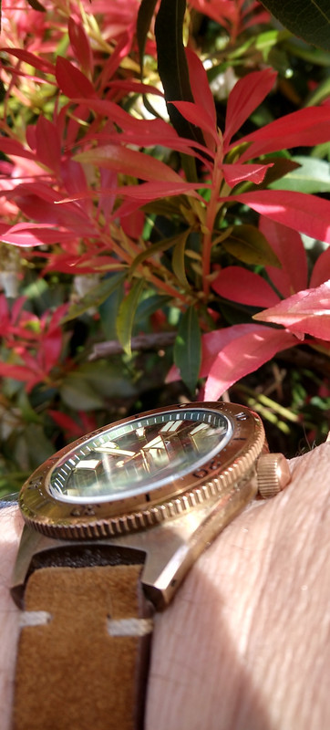 Cronos (Lugyou)Bronze Diver-19