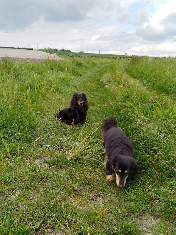 [Image: IMG-20230430-182645.jpg]