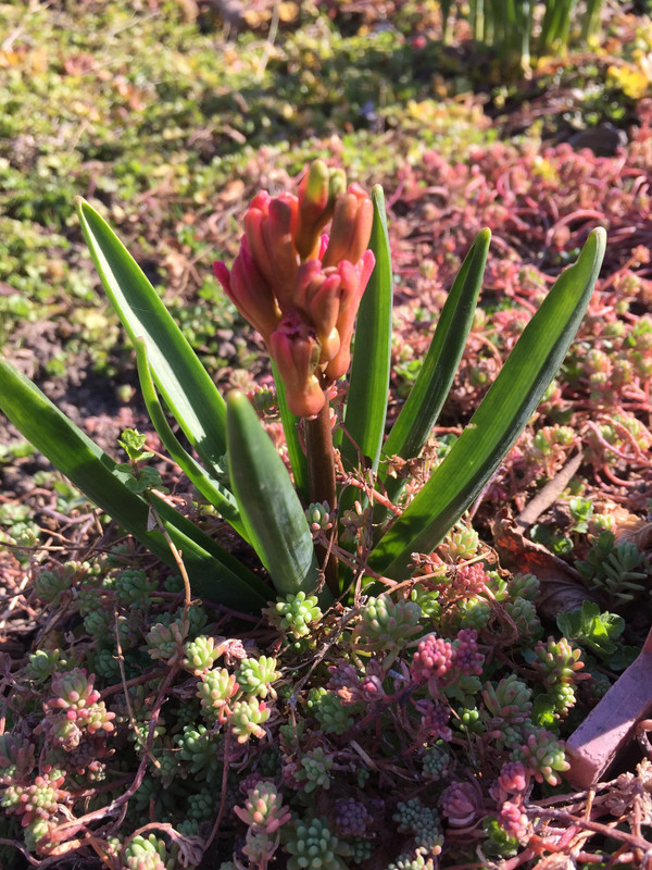 BCBCC129-C3CE-43CC-B7FE-7020C8C15E9D