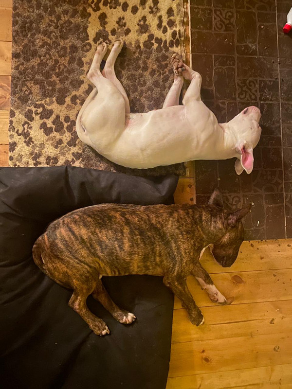 A0827D34-5CFD-4BF0-8099-8427BB33A79C